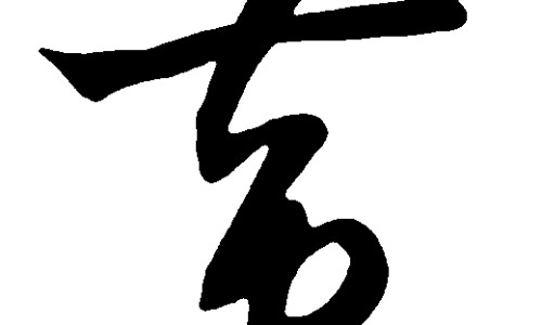 补骨脂作用与功效网 - 补骨脂作用与功效及禁忌,补骨脂作用与功效及禁忌