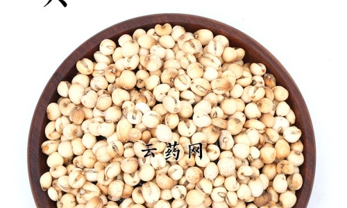 补骨脂作用与功效网 - 补骨脂作用与功效及禁忌,补骨脂作用与功效及禁忌